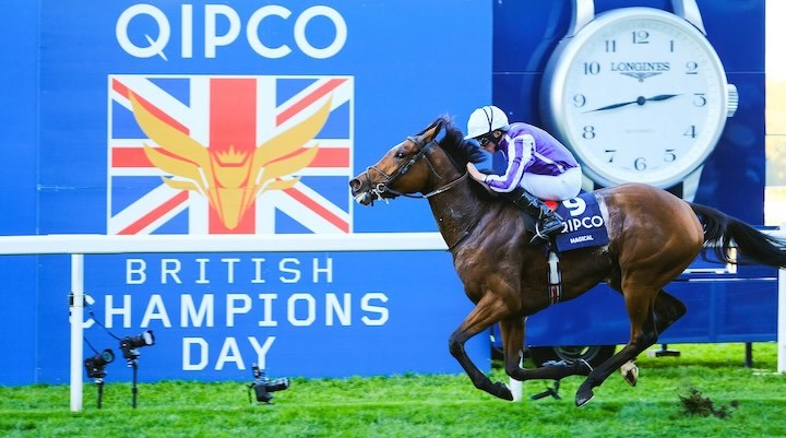 Champions Day Lucky 15: Best Bets from Ascot